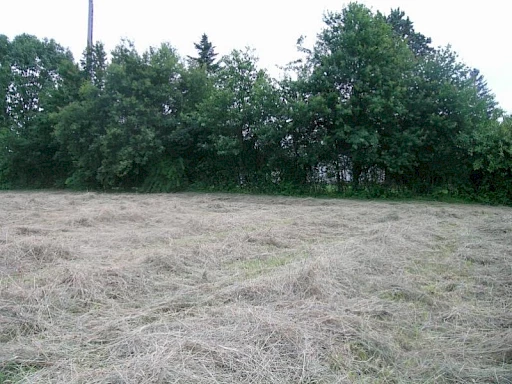 TERRAIN A BATIR DE 1084m2 - HAGETMAU PROCHE COMMODITES - 1