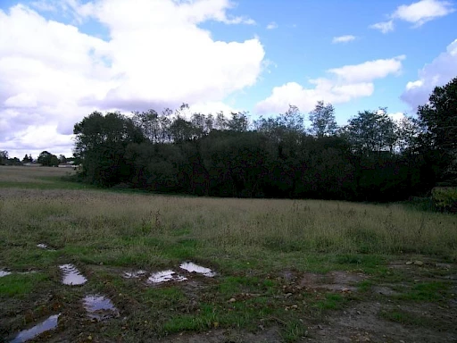  TERRAIN DE 2290m2 - HAGETMAU