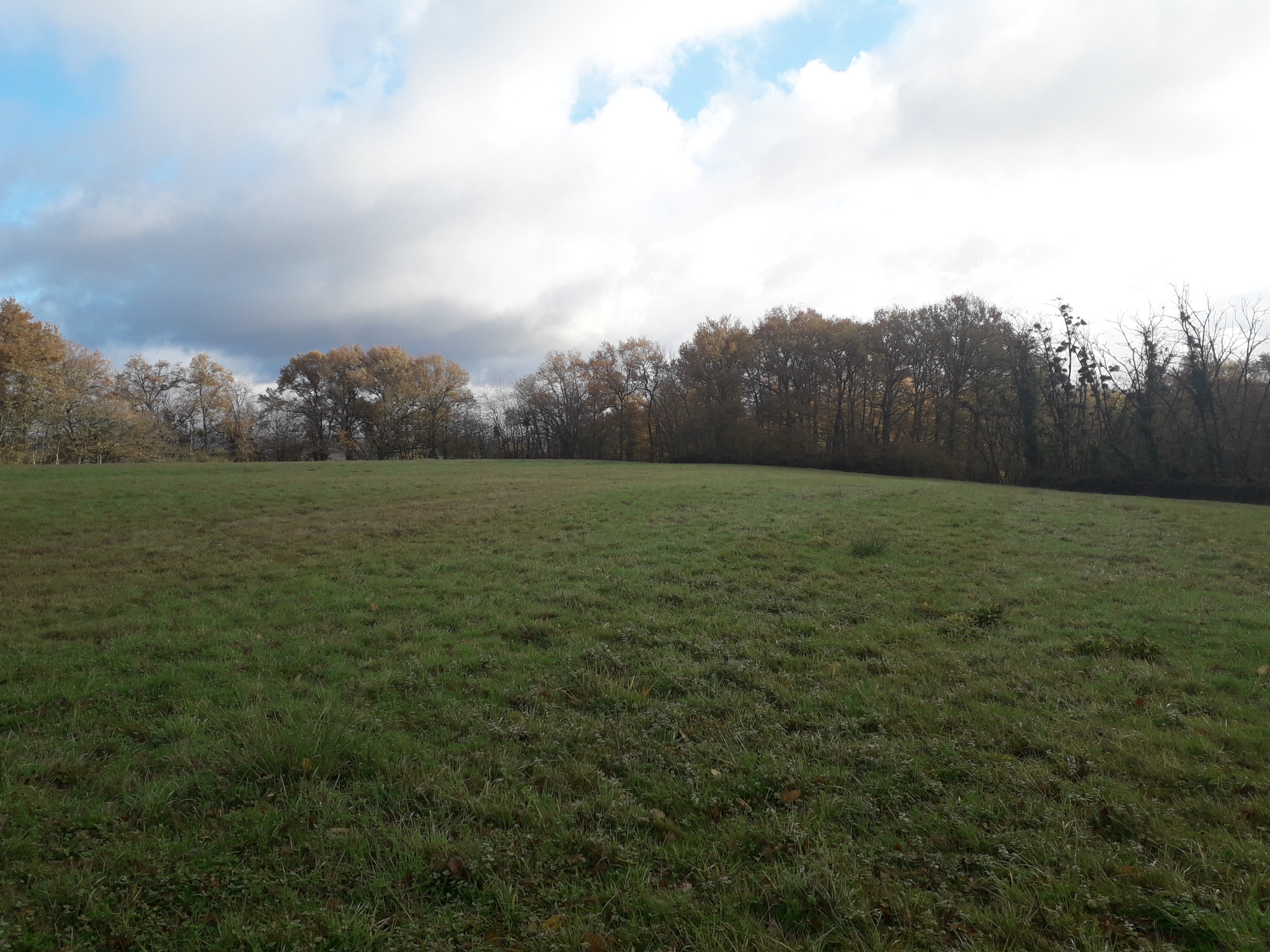 SAINT SEVER - Ferme de 100m2