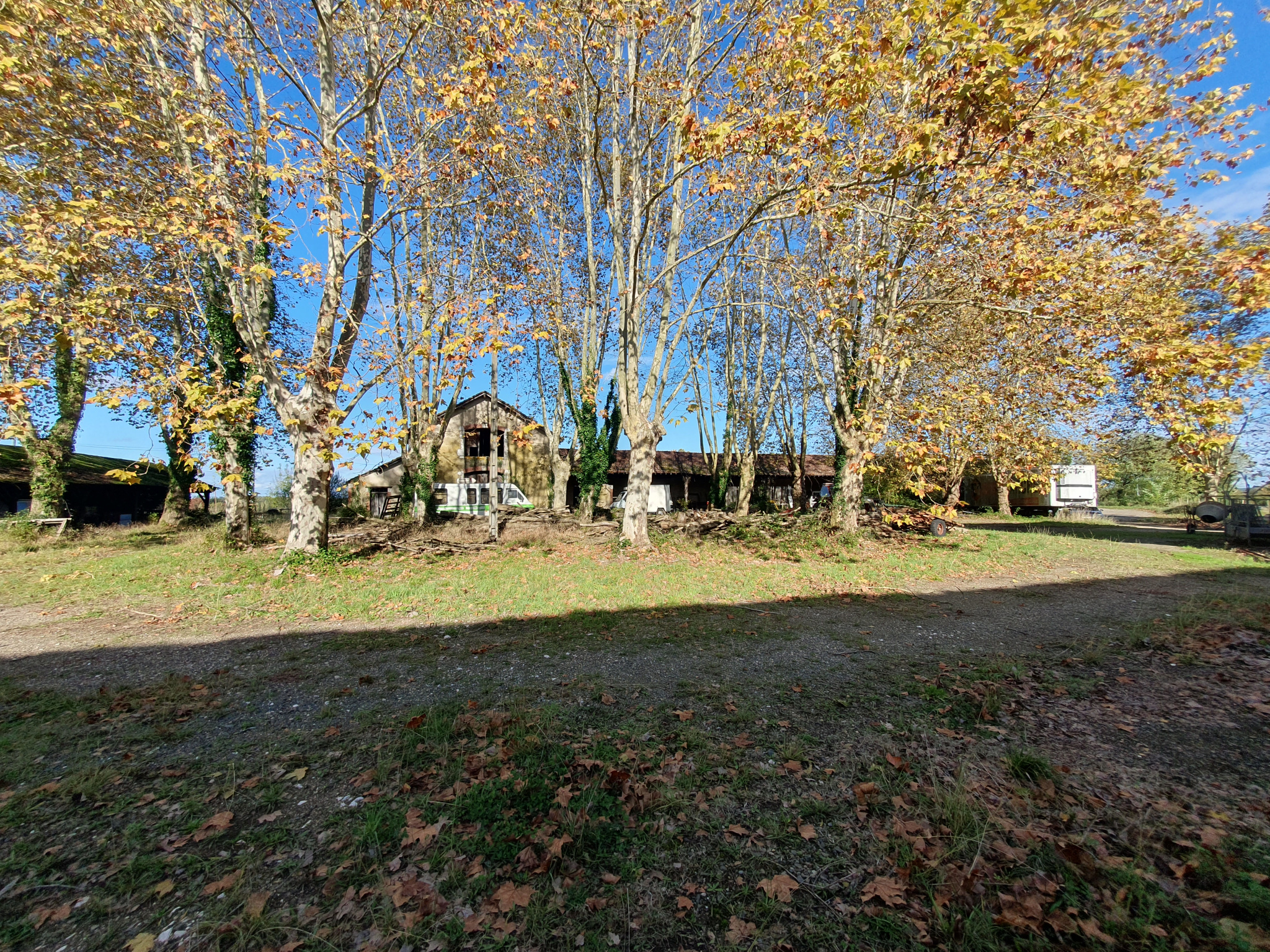Ferme 6 pièces à acheter à Saint-Sever avec SN AGENCE TACHON