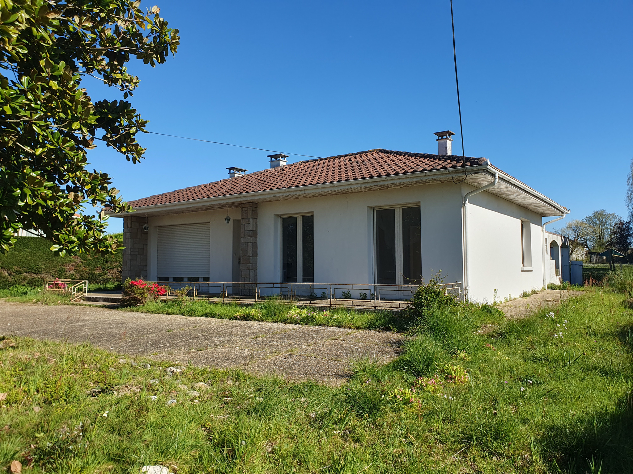 Photo 1